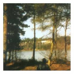 Palehorse (USA) : Gee, That Ain't Swell